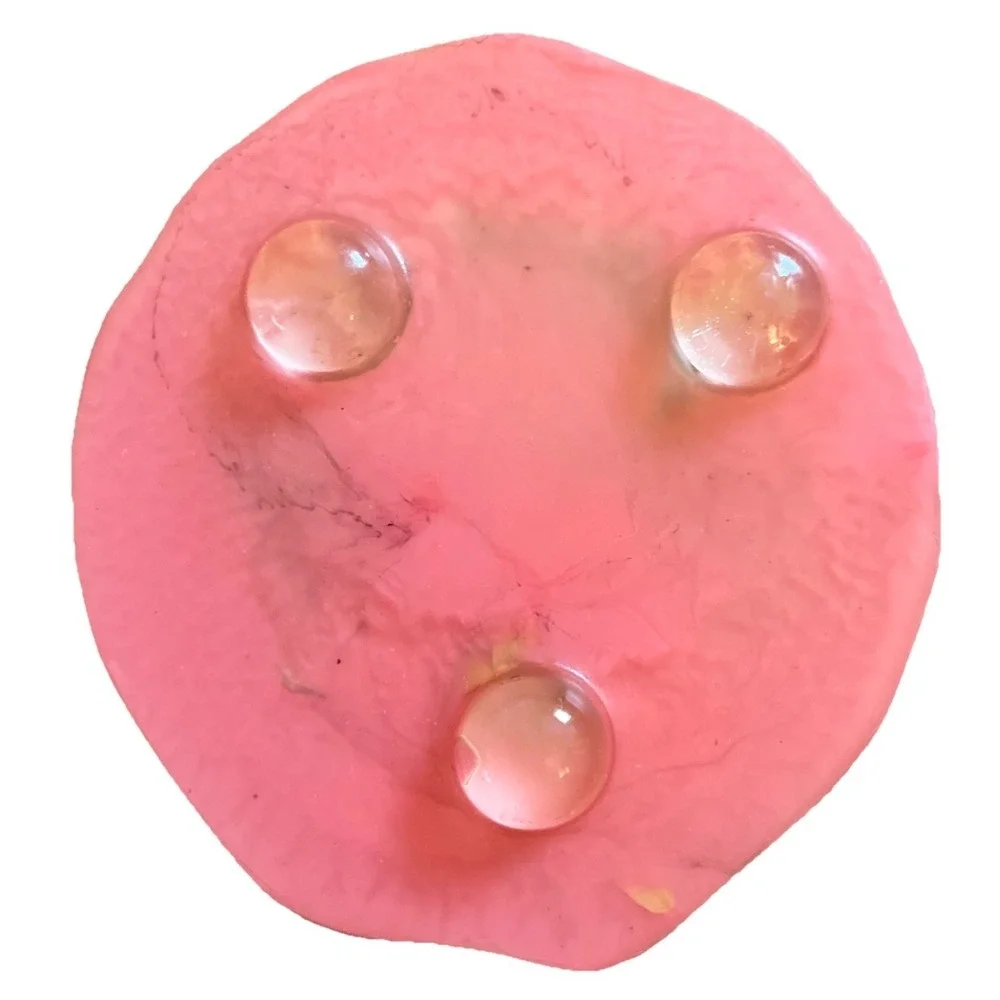 Vtg Lucite Resin Shell Shaped  Pressed Flowers Butterfly Soap Dish Trinket Dish